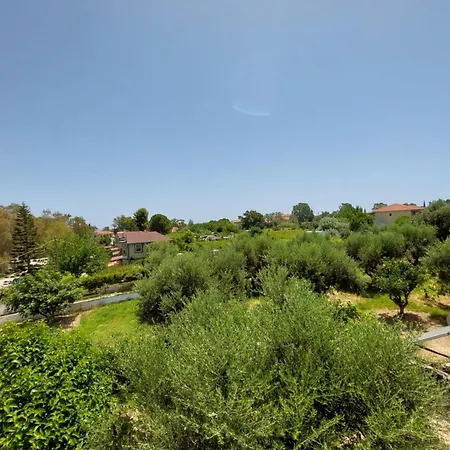 Xi View